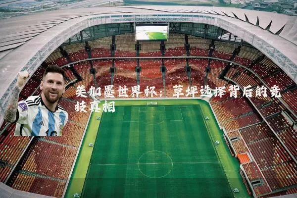 美加墨世界杯：草坪选择背后的竞技真相